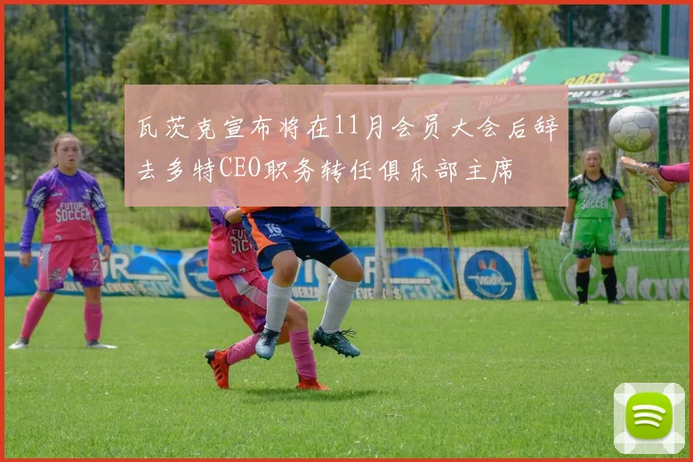 瓦茨克宣布将在11月会员大会后辞去多特CEO职务转任俱乐部主席