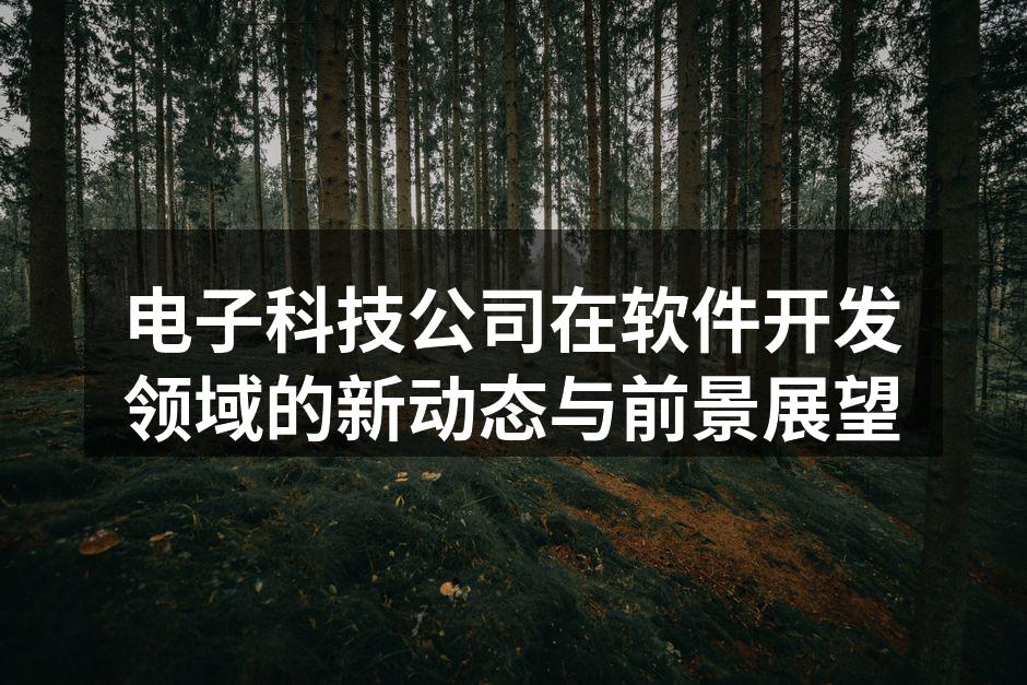 电子科技公司在软件开发领域的新动态与前景展望