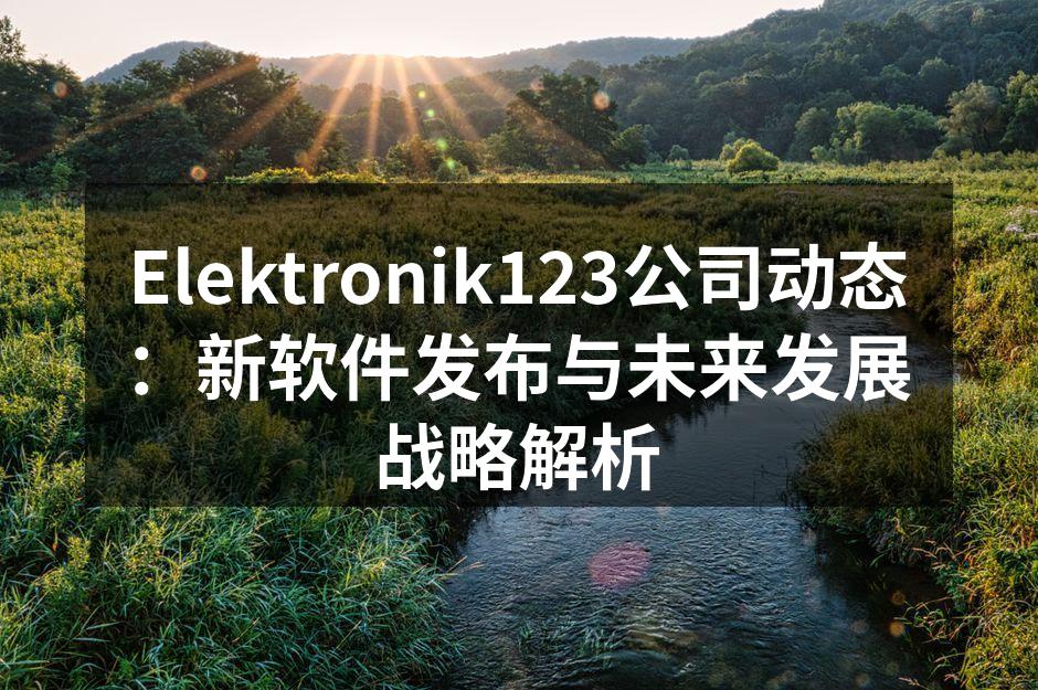 Elektronik123公司动态：新软件发布与未来发展战略解析